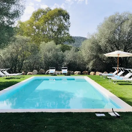Stazzo San Teodoro L'olivastro Piscina Condivisa San Teodoro (Sardinia)