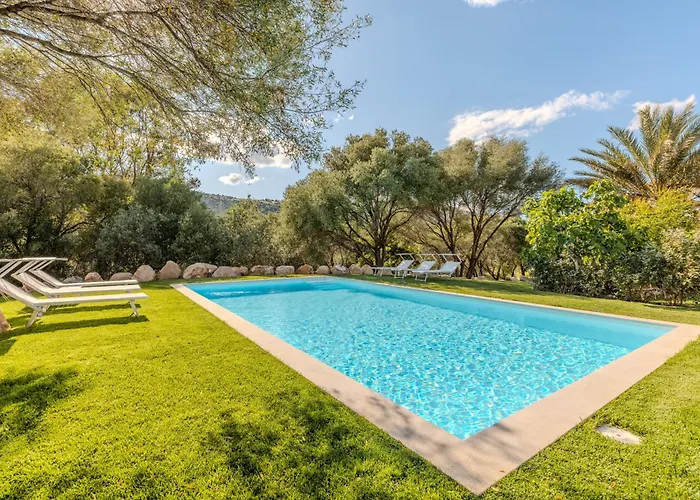 Appartement Stazzo L'olivastro Piscina Condivisa *